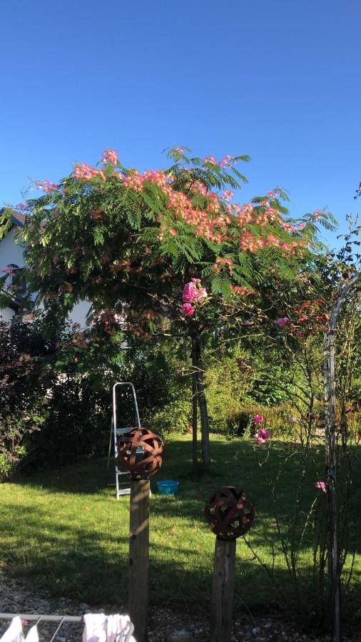Relax Appartement Bad Radkersburg Exterior foto